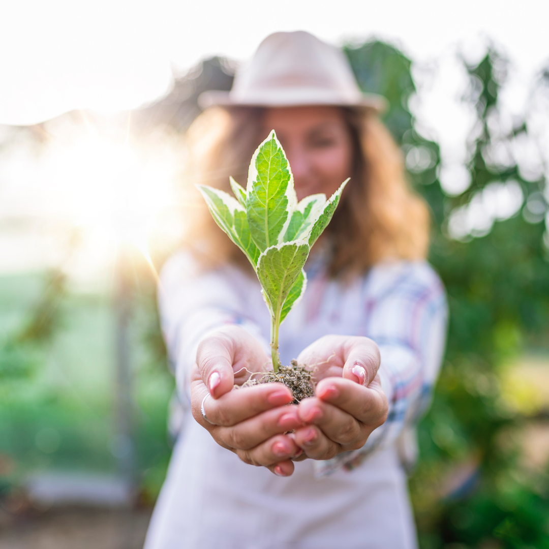 Sou Pessoa Consciente